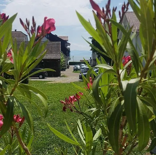 Birkhofer Geniessen - Haus Seehang אימנשטאדט אם בודנזה