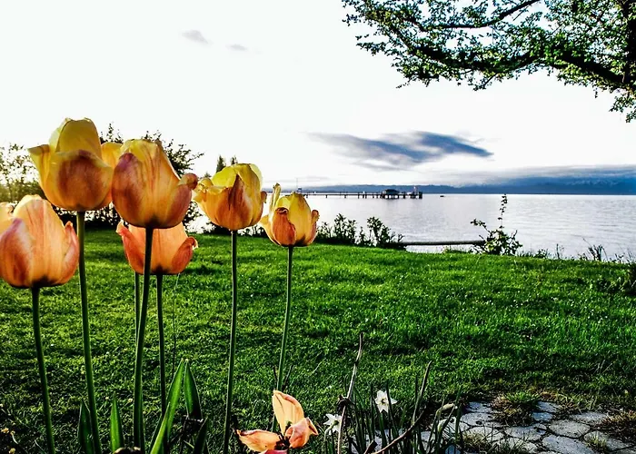 Birkhofer Geniessen - Haus Seehang *